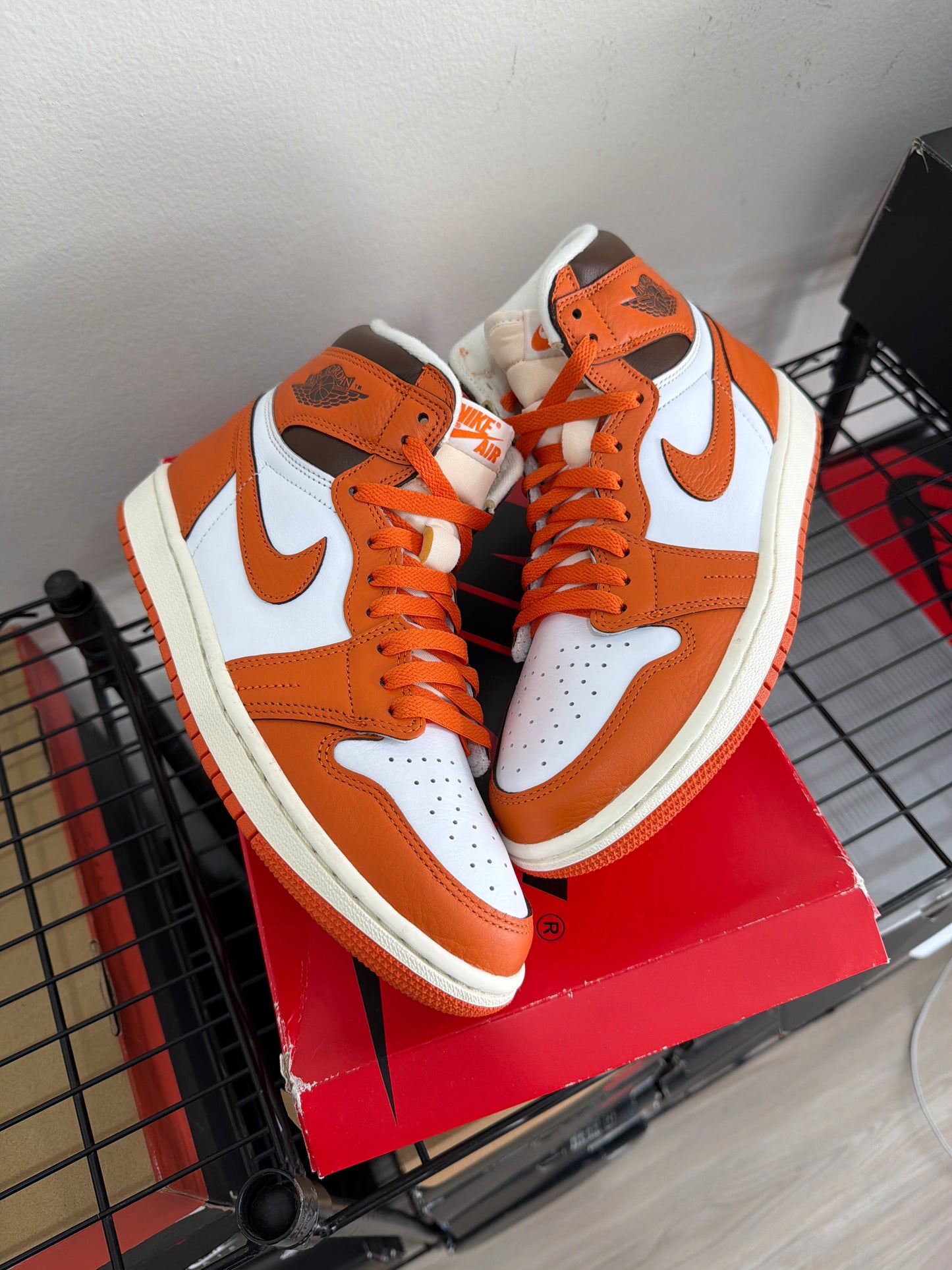 (7m) Jordan 1 Starfish